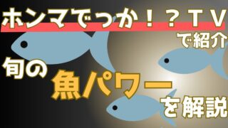 記憶力や美肌に効果抜群！秋の魚が持つ健康パワーを徹底解説【ホンマでっかTV】