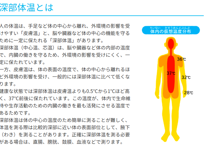 深部体温の解説