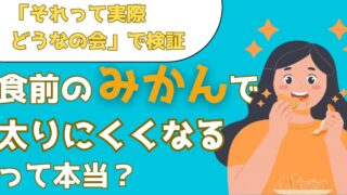 食前にみかんを食べると太りにくい身体になれる？実際に食前みかんを食べた結果を解説【それって実際どうなの会】