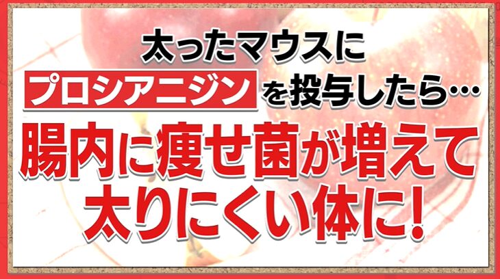 プロシアニジの体重減少効果