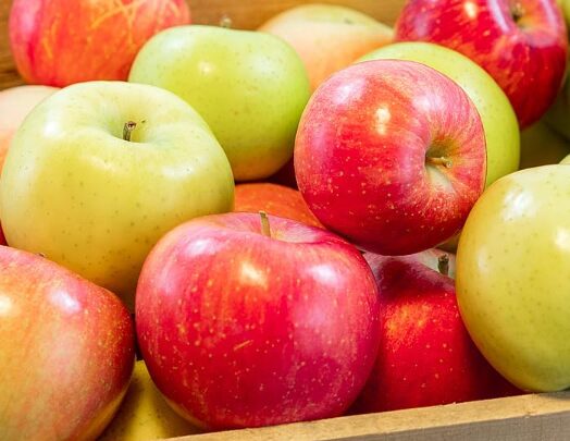 竹城青果　りんご