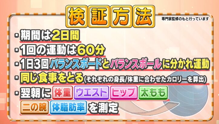 バランスボードとバランスボールの検証ルール