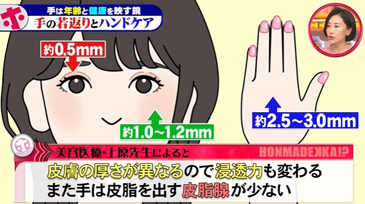 顔と手の皮膚の厚さの違い