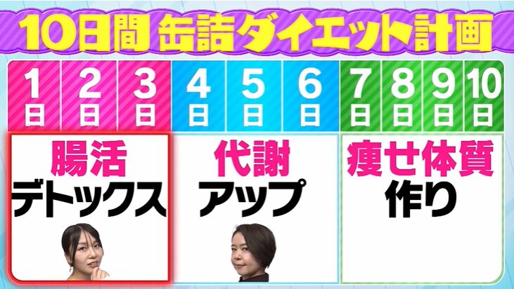 缶詰ダイエットの10日間の実行計画