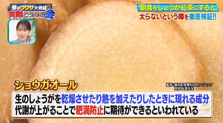 ショウガオールの解説