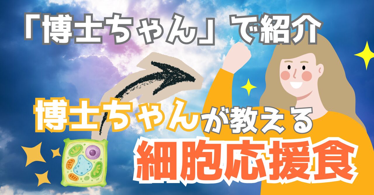 博士ちゃんで紹介された細胞応援食を解説する記事のアイキャッチ画像