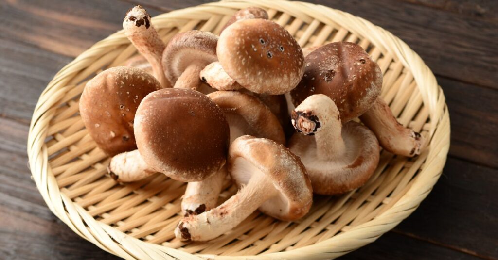 細胞応援食材のしいたけ