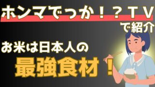 お米はダイエット・美肌・快眠の最強食材！その科学的根拠を解説【ホンマでっかTV】