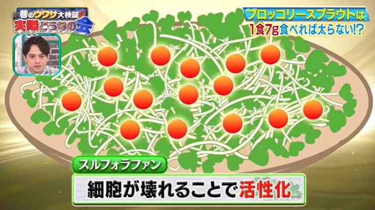 スルフォラファンの特性