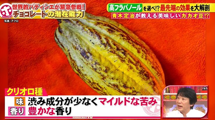 クリオロ種のカカオ
