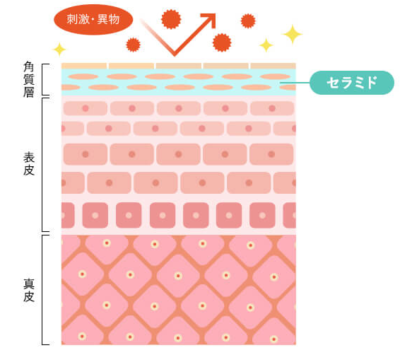 セラミド