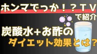 炭酸水にお酢を入れて飲むと太りにくくなるって本当？実際に検証した結果を解説（ホンマでっかTV）