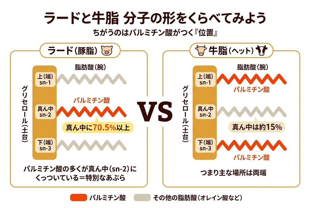 ラードと牛脂の違い